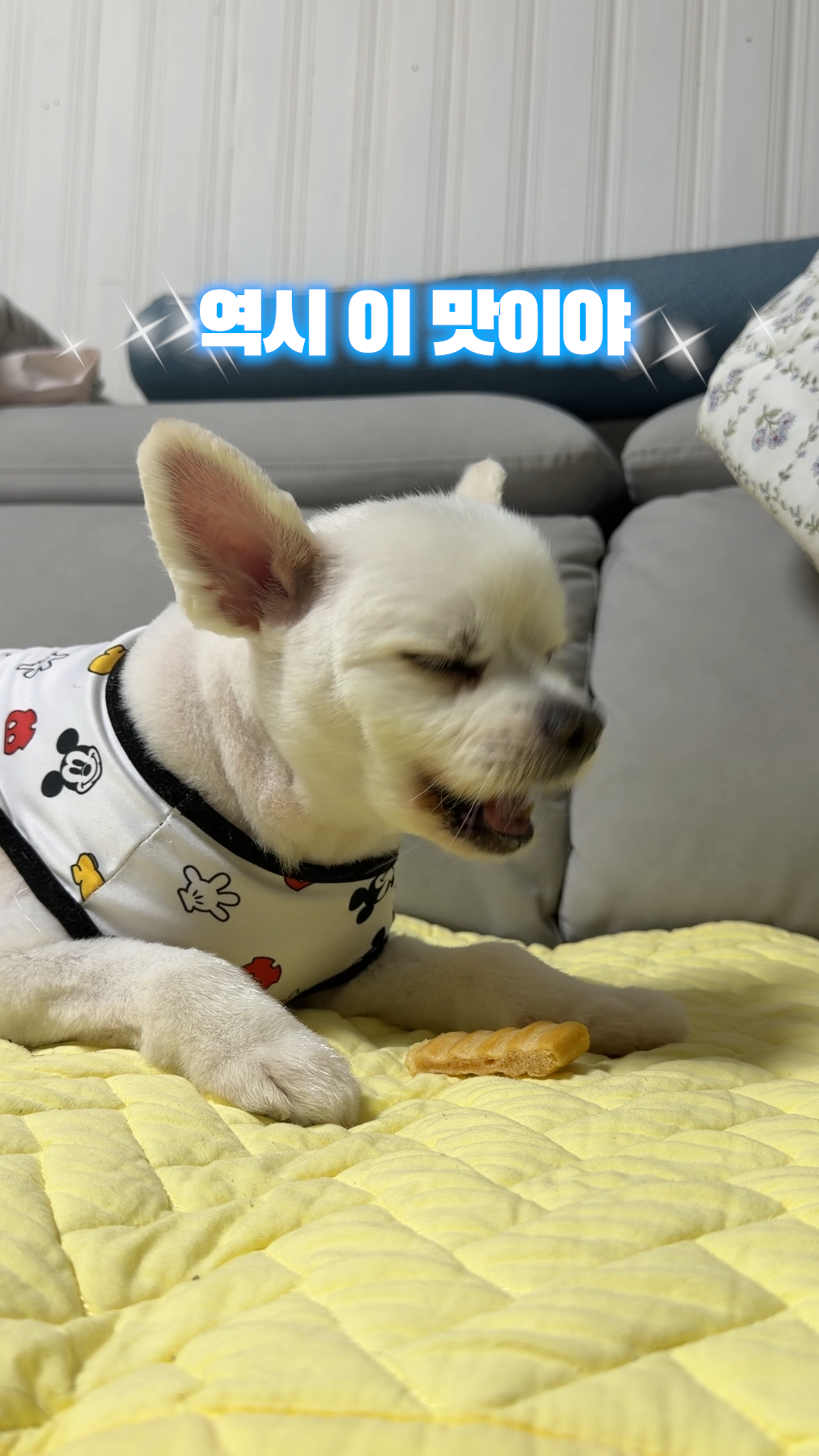 숏폼 영상 01 썸네일