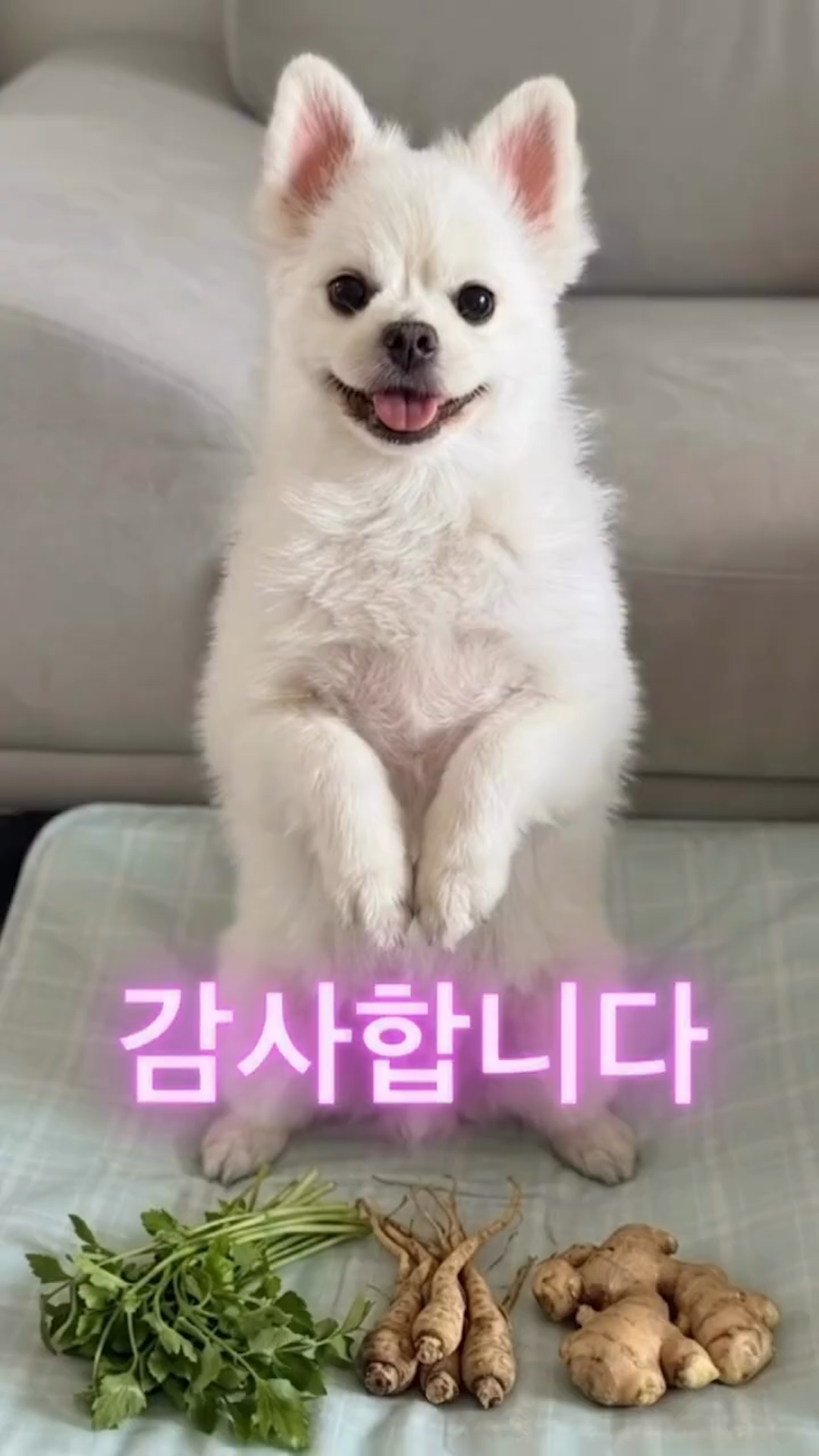 숏폼 영상 02 썸네일
