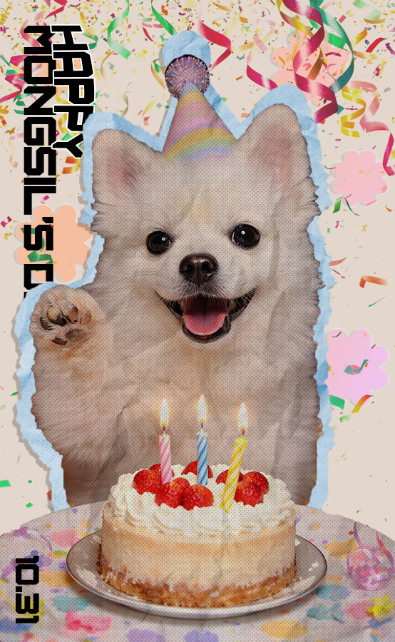 몽실이 생일 최종 포스터