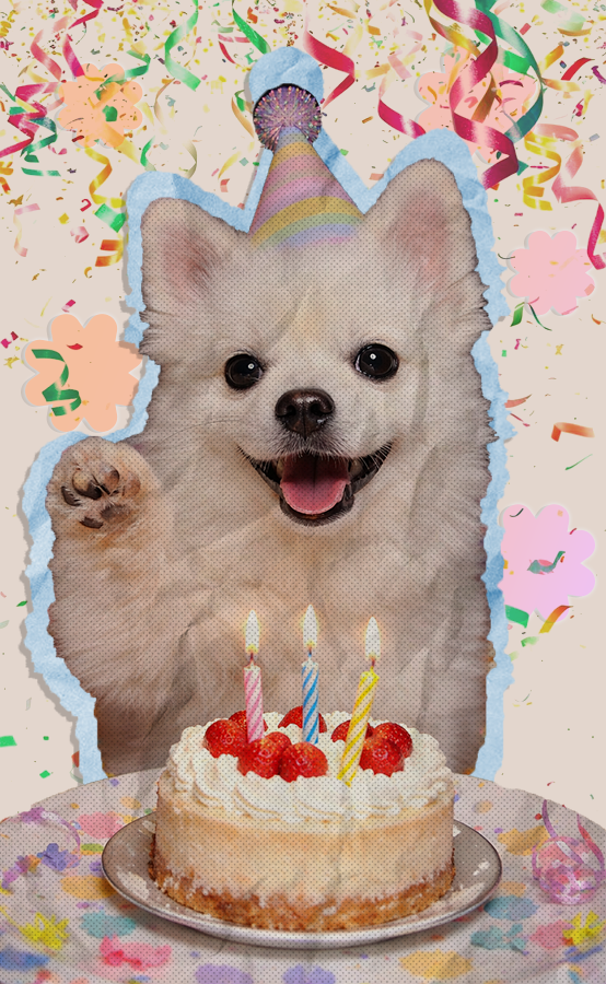 파티클과 꽃 풍선 그래픽을 추가한 몽실이 생일 이미지
